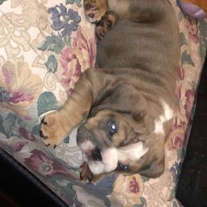 Meet your Posher, Doris